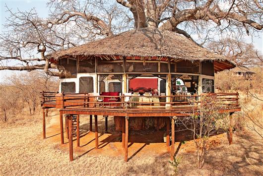 Tarangire Treetops